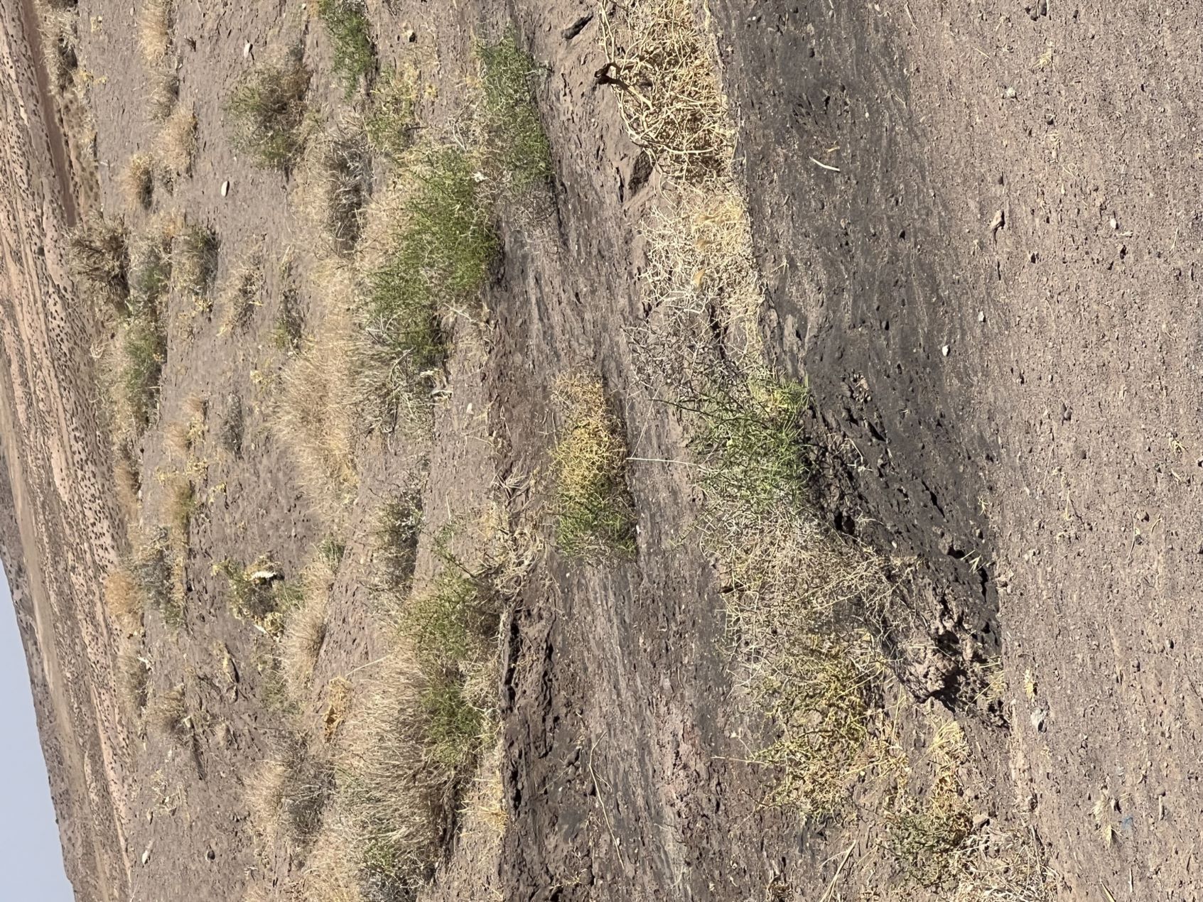 معدن سنگ آهن